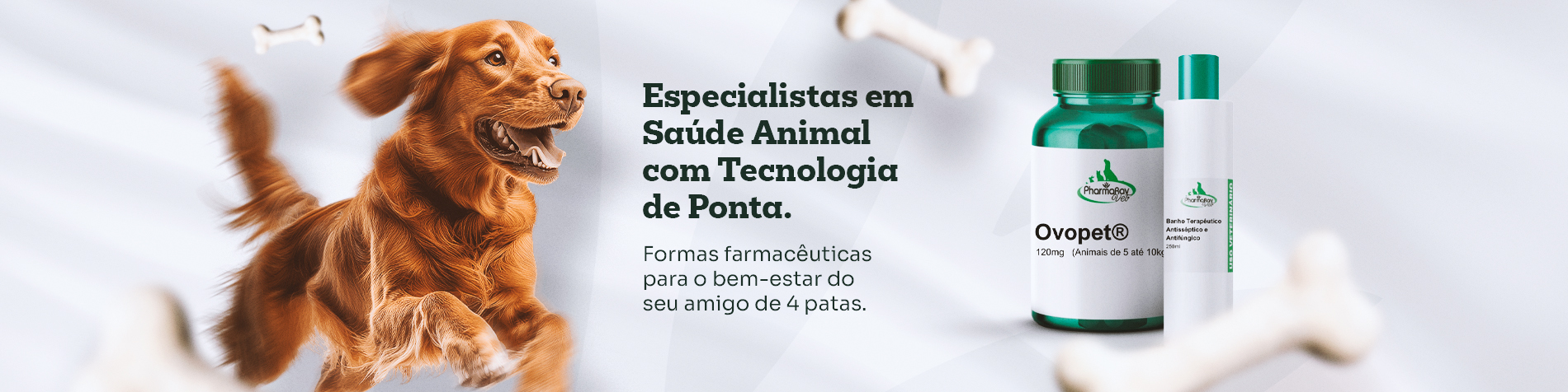 Banner de website PharmaRav